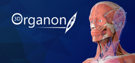 Steam header art for 3D Organon