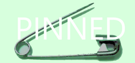 Steam header art for Pinned