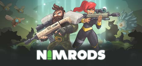 Steam header art for NIMRODS