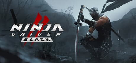 Steam header art for NINJA GAIDEN 2 Black