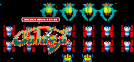 Steam header art for ARCADE GAME SERIES: GALAGA