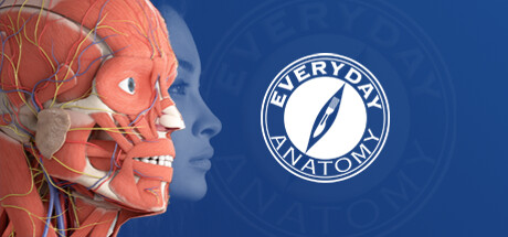 Steam header art for Everyday Anatomy