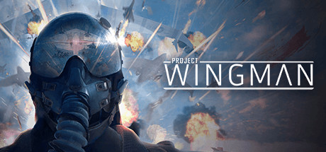 Steam header art for Project Wingman