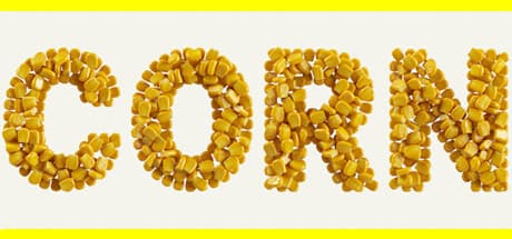 CORN